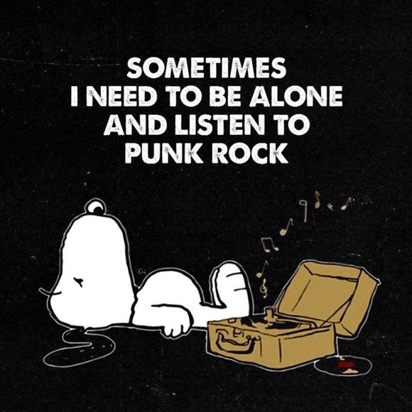 Meet Winter!!! The lilac point Siamese mix - Picture 9 of 16